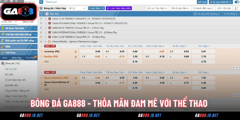 bong da ga888 thoa man dam me voi the thao